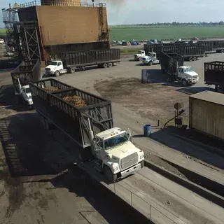 thumbnail for publication: Everglades Agricultural Area